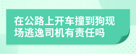 在公路上开车撞到狗现场逃逸司机有责任吗