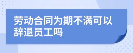 劳动合同为期不满可以辞退员工吗