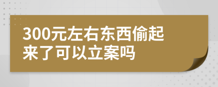 300元左右东西偷起来了可以立案吗