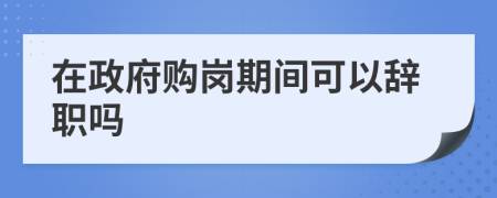 在政府购岗期间可以辞职吗