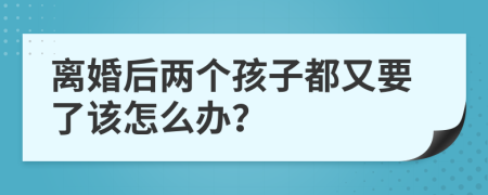 离婚后两个孩子都又要了该怎么办？