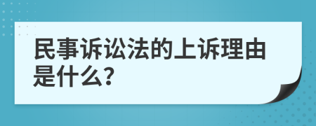 民事诉讼法的上诉理由是什么？