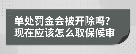 单处罚金会被开除吗？现在应该怎么取保候审