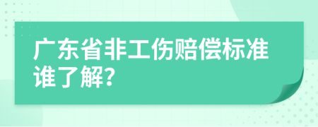 广东省非工伤赔偿标准谁了解？