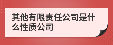 其他有限责任公司是什么性质公司