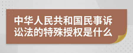 中华人民共和国民事诉讼法的特殊授权是什么