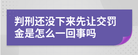 判刑还没下来先让交罚金是怎么一回事吗