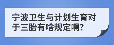 宁波卫生与计划生育对于三胎有啥规定啊？