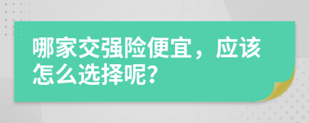 哪家交强险便宜，应该怎么选择呢？