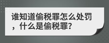 谁知道偷税罪怎么处罚，什么是偷税罪？