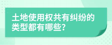 土地使用权共有纠纷的类型都有哪些？