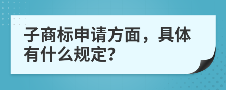 子商标申请方面，具体有什么规定？