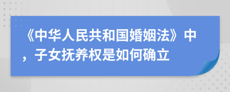 《中华人民共和国婚姻法》中，子女抚养权是如何确立