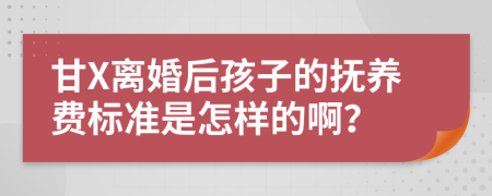 甘X离婚后孩子的抚养费标准是怎样的啊？