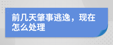 前几天肇事逃逸，现在怎么处理