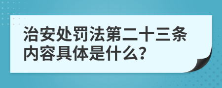 治安处罚法第二十三条内容具体是什么？