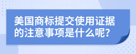 美国商标提交使用证据的注意事项是什么呢？