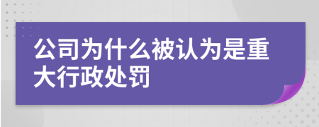 公司为什么被认为是重大行政处罚