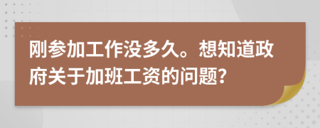 刚参加工作没多久。想知道政府关于加班工资的问题？