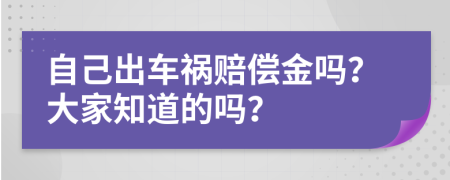 自己出车祸赔偿金吗？大家知道的吗？