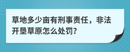 草地多少亩有刑事责任，非法开垦草原怎么处罚？