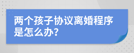 两个孩子协议离婚程序是怎么办？