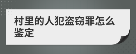 村里的人犯盗窃罪怎么鉴定