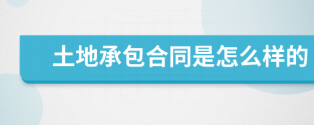 土地承包合同是怎么样的