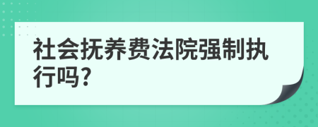 社会抚养费法院强制执行吗?