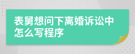 表舅想问下离婚诉讼中怎么写程序