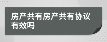 房产共有房产共有协议有效吗