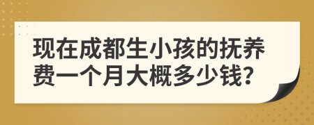 现在成都生小孩的抚养费一个月大概多少钱？