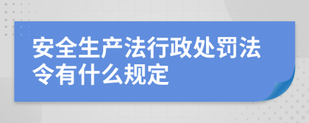 安全生产法行政处罚法令有什么规定