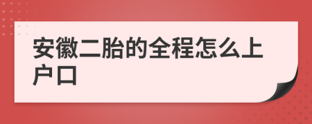 安徽二胎的全程怎么上户口
