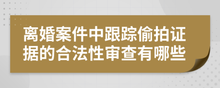 离婚案件中跟踪偷拍证据的合法性审查有哪些