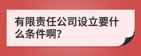 有限责任公司设立要什么条件啊？