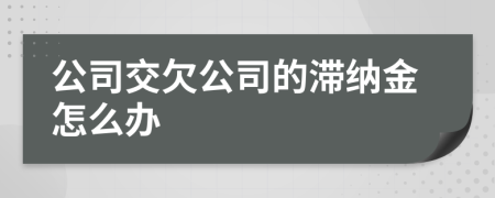 公司交欠公司的滞纳金怎么办