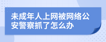 未成年人上网被网络公安警察抓了怎么办