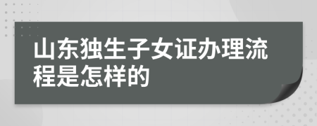 山东独生子女证办理流程是怎样的