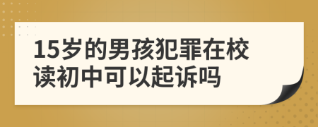 15岁的男孩犯罪在校读初中可以起诉吗