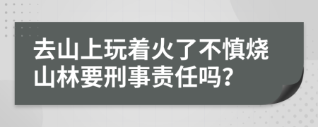 去山上玩着火了不慎烧山林要刑事责任吗？