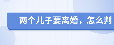 两个儿子要离婚，怎么判