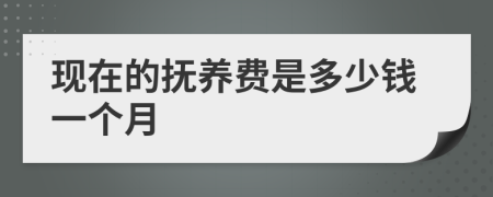 现在的抚养费是多少钱一个月