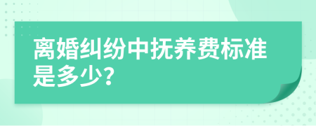 离婚纠纷中抚养费标准是多少？