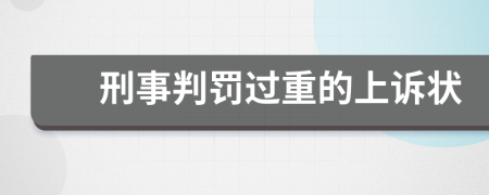 刑事判罚过重的上诉状