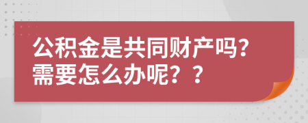 公积金是共同财产吗？需要怎么办呢？？