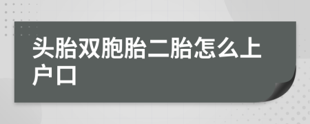 头胎双胞胎二胎怎么上户口