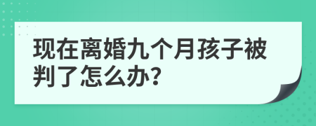 现在离婚九个月孩子被判了怎么办？