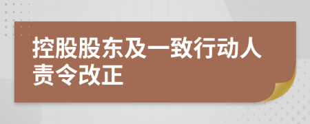 控股股东及一致行动人责令改正