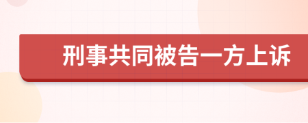 刑事共同被告一方上诉